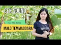 Download Lagu Nur Mai Sella ~ MALO TEMMADDARA | Cek Sound Lagu Bugis ~Alink Musik