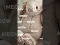 Download Lagu ~meow ty ipek ♡♡🐰🌷✨️