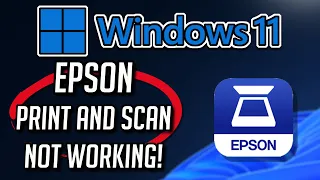 Epson Print and Scan Not Working Fix Windows Tutorial