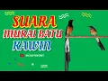 Download Lagu Blur 55 Suara Murai Batu Kawin Mp3 - Kicau Favorit