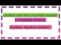 Unittest can t find imported module in imported module