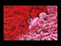 Download Lagu RAHE NA RAHE   SANJAY JODHA   YouTube