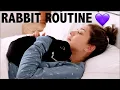 DAILY RABBIT ROUTINE LIFE AS A PET YOUTUBER