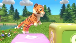                                                         دندنها