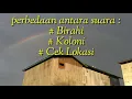 Download Lagu Tau kah anda ? Perbedaan Suara Walet Cek Lokasi , Koloni dan Birahi !!!
