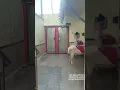 sheep squeezing stockings weight