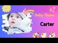 CARTER Carter name meaning Boy Name Meaning One who transports goods in a cart a carrier 202