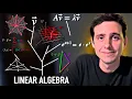 The Roadmap to Linear Algebra I Wish I Had