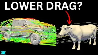 Is A Cow Actually More Aerodynamic Than A Jeep