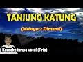 Download Lagu Tanjung katung karaoke melayu 2 dimensi
