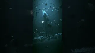 Https Www Instagram Com Reel DBT0IfxxUtT Igsh MXQ1emE3ZHNraHpqeg 