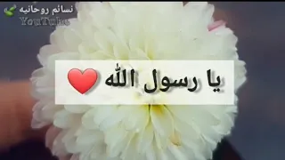 نغمات دينية اسلامية  يا رسول الله   حالات واتس دينية  تصويري      فضلا  لا تنسى لايك اشتراك بقناة    دندنها