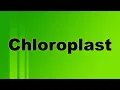 Chloroplast Definition and Function