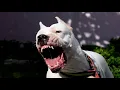 Download Lagu The Only Dog That Hunts Pumas - Meet the Argentinian Dogo!