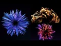 Beginners Guide To Basic Particle Techiniques in Cinema 4D 2025 Redshift