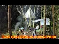 Lagu Rain Camping ‼️ Overnight in a plastic treehouse, relaxing rain sounds