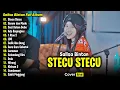Download Lagu Sallsa Bintan ft 3 Pemuda Berbahaya - Stecu Stecu | Full Album Terbaru 2025