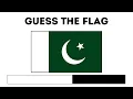 Guess Crecent Moon Flags