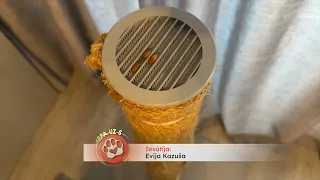 Skatītāju iesūtītie video 05.09.2026 Ķepa uz sirds
