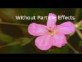 Download Lagu Demo Video Made using Sony Vegas Pro (by Aleco)