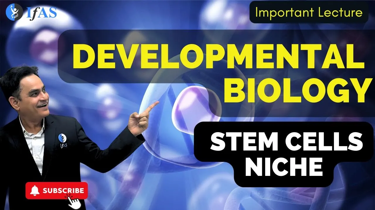 L3 -Stem Cell Niche I Developmental Biology I IFAS I CSIR