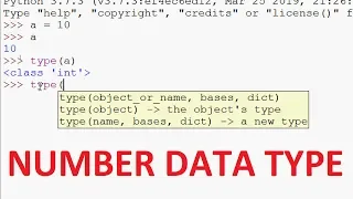 Python Tutorials - Number Data Type in Python