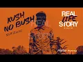 Mr Williamz- Kush No Bush [REAL LIFE STORY Riddim]