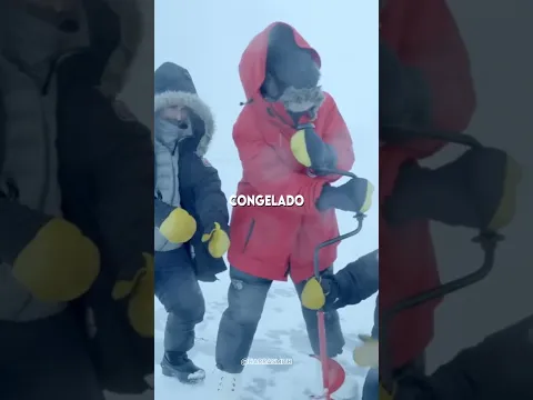 É possível sobreviver por 7 DIAS NA ANTÁRTICA SEM BARRACA? #curiosidades