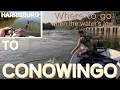 Susquehanna River Smallmouth Fishing When the River is Too Low and Clear