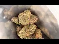 Cannabis Explained What You Need to Know About Marijuana