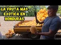All This Exotic Fruit Is Sold Here El Balin Honduras