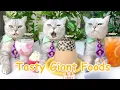 Download Lagu 【Chef Cat Cooking】Cat's Creative Food Ideas | Candy\u0026Drinks | Chef Cat Cooking TIKTOK 2022
