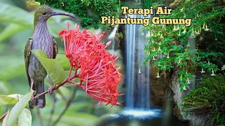 tembakan pijantung gunung dengan terapi air