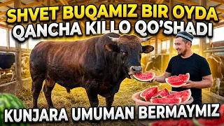 BIR OYLIK NATIJA KUNJARA BERMADIK