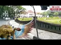 Download Lagu NAIK ODONG ODONG KELILING KOTA MALANG