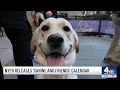 NYPD Releases Canine and Friends Calendar