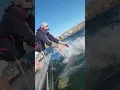 Line ripping, deep water, prehistoric Sturgeon on the Columbia River. 