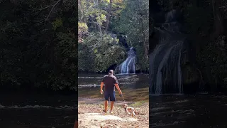 Happiness consists not in having much, but in being content with little. #liveyourbestlife