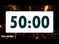 50 minute timer LOUD ALARM