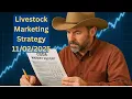 Volatility Creates Cashflow
