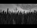 Ina Wroldsen, Broiler - Lay It On Me (Lyrics)