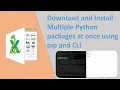 Download and Install Multiple Python packages at once using pip