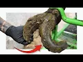 HUGE HOOF has a HIDDEN secret I wasn t expecting