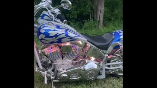 2000 Titan gecko