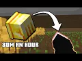 The NEW Best Farming Method in Hypixel Skyblock