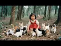 Download Lagu [Multi SUB] ｜全集｜小萌宝可以听到小动物的心声！灾荒年间她直接带全家逆袭了~#爽文#MiniDrama#精彩大陆短剧 #下山追短剧