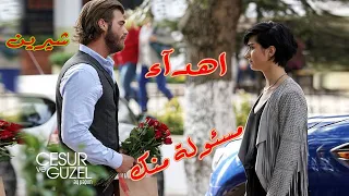 بص انا مسئولة منك يعني تشيل عني همومي تدلعني   شيرين    جسور وسوهان   مسلسل جسور والجميلة دندنها