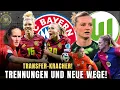Download Lagu Rolfö geht, Popp spricht Klartext \u0026 Lohmann zum City! Große Veränderungen im Frauenfußball!