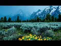 Download Lagu Beautiful Relaxing Music, Peaceful Instrumental Music, \