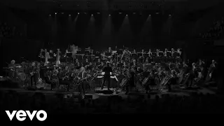 Beck - Ride Lonesome (Live with Sydney Symphony Orchestra)